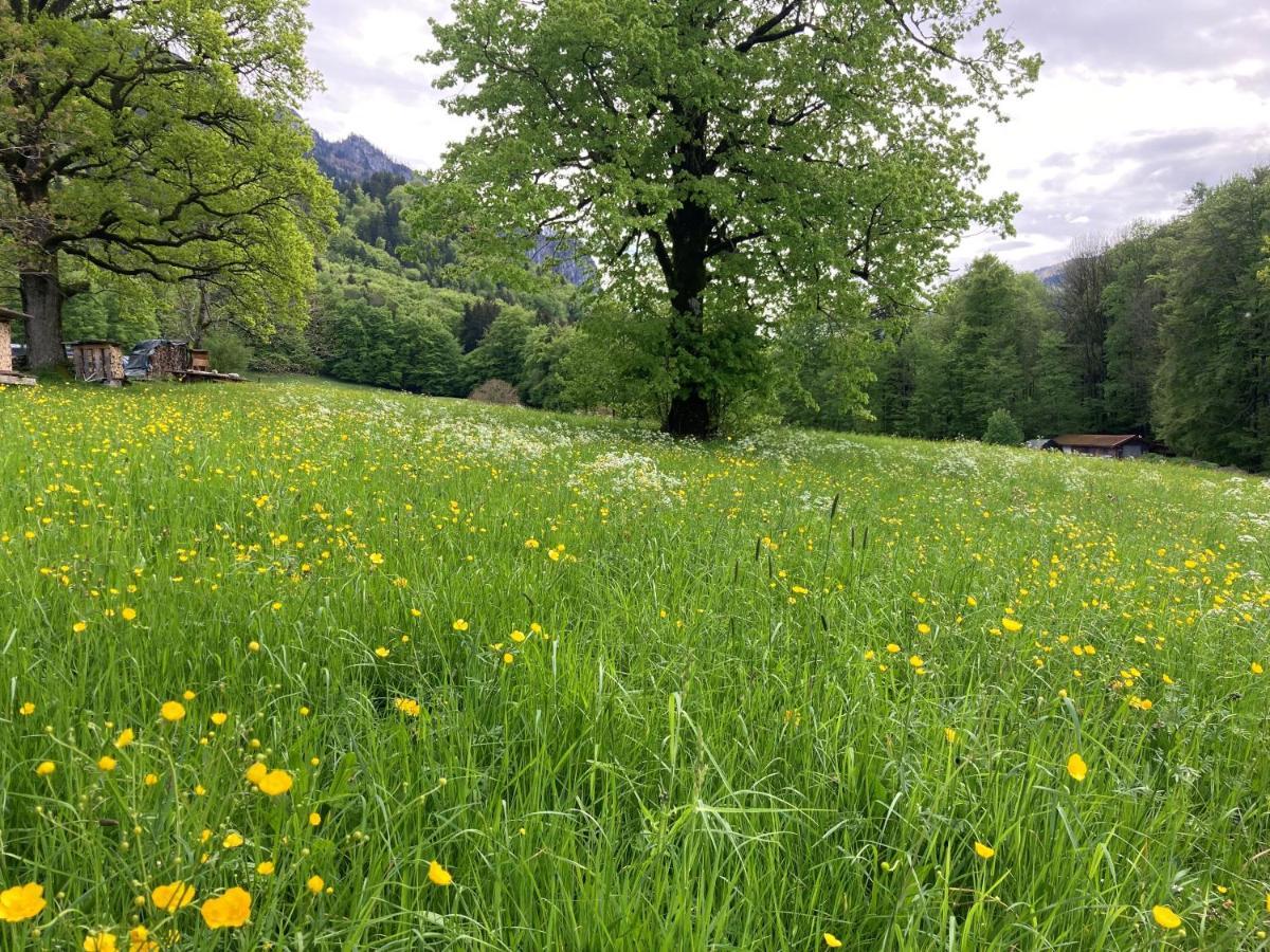 Apartamento Ciao-Aschau Haus Zur Burg Ap112 Burgblick Aschau im Chiemgau Exterior foto