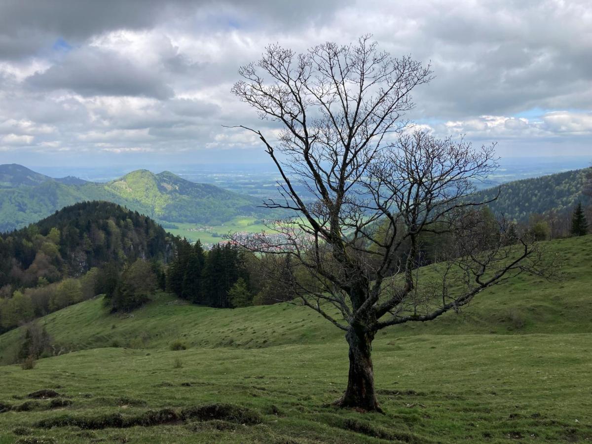 Apartamento Ciao-Aschau Haus Zur Burg Ap112 Burgblick Aschau im Chiemgau Exterior foto